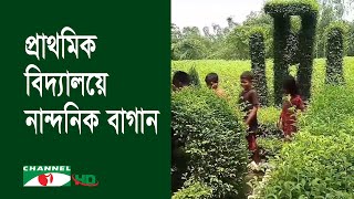 দিনাজপুরে সরকারি প্রাথমিক বিদ্যালয়ে নান্দনিক বাগান