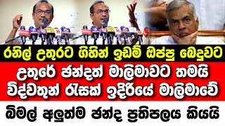 උතුරේ ඡන්දත් මාලිමාවට. මාලිමාවේ අලුත්ම ඡන්ද ප්‍රතිපලය බිමල් කියයි | hiru news today | jvp | npp