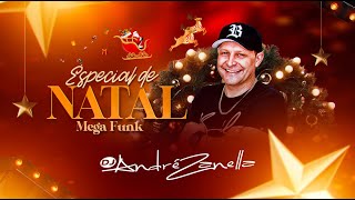 MEGA FUNK - NATAL 2024 (Dj André Zanella)