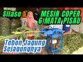 Buat SILASE Tebon Jagung Sejagungnya BISA SANGAT CEPAT Dengan Mesin Coper 6 MATA PISAU #mesincoper