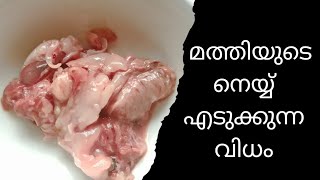 മത്തിയുടെ നെയ്യ്  എടുക്കുന്ന വിധം / How to clean and take sardine lipid or fat..