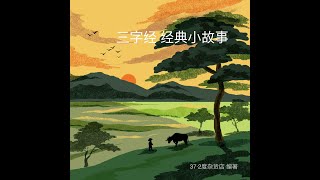 17 《小故事6。各个朝代1》《三字经经典小故事》Story of Three Character Classic  纪展雄 朗读