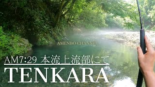 【テンカラ釣り】朝７時 本流上流部にてTENKARA / やや増水気味