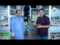 artificial meat how to grow mushrooms at home earn millions of rupees kissan ka pakistan