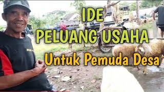 Ide peluang usaha - untuk Pemuda di Desa - dijamin sukses