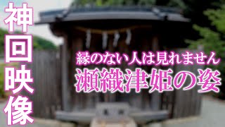 ⚠️神回※もし逃したら二度とありません※瀬織津姫様が降臨しました｜瀧川神社遠隔参拝177