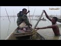 unseen fish trapping system primitive bamboo fish trap peacock eels