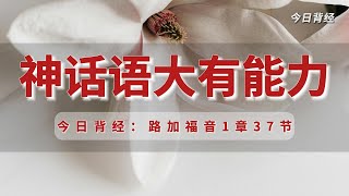 神的话语带有能力！｜今日背经-路加福音1章37节｜《每日背经》｜跟着小光每日背一节圣经，默想这节经文，建造灵命，品尝主恩，一起来背经吧！