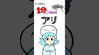 1分で分かるアリ【アニメ】#Shorts