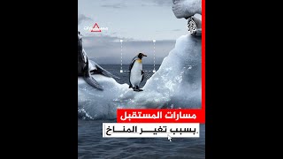 مسارات - ما السيناريوهات التي سيواجهها كوكبنا بسبب آثار التغير المناخي؟