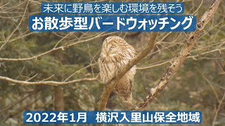 横沢入里山保全地域でお散歩型バードウォッチング　予期せぬ通せん坊が…　野鳥解説はあえてありません！　図鑑片手にご覧ください