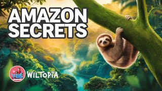 Exploring the Amazing Wildlife of Playmobil Wiltopia Amazonas!