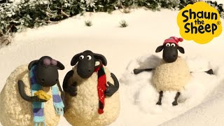 Shaun the Sheep 🐑 Chill with Shaun - Cartoons for Kids 🐑  Episodes Compilation [
