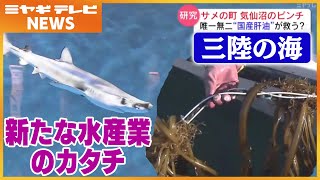 三陸の海 新たな水産業のカタチ？