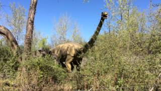 Field Station: Dinosaurs is leaving Secaucus