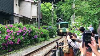 紫陽花と江ノ電、御霊神社（2018.6.14）