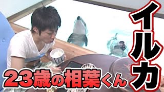 23歳の相葉くん！水族館でイルカと再会！！【相葉雅紀】