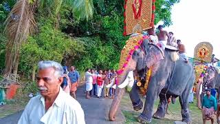 mayannur kavu pooram 2022/ മായന്നൂർ പൂരം 2022 /Puthupally keshavan vs mangalamkunnu ayyappan