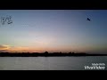 birds returning home batticaloa manminai