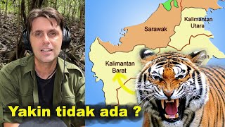 [Ep18] KENAPA tidak ada HARIMAU di KALIMANTAN ?