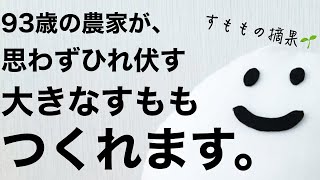 【でか！と言わせる】すももになる３つの摘果のコツ