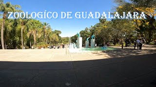 Visita al Zoológico de Guadalajara