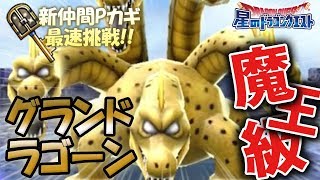 【星ドラ (ドラクエ) 】最速・新仲間Pカギ挑戦！グランドラゴーン魔王級クリア！！【星のドラゴンクエスト】 [ dragon quest of the stars ]