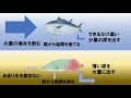 【水族館動画】サンシャイン水族館の生き物たちを紹介！ヒョウモンオトメエイ、バイカルアザラシの赤ちゃん、ゾウギンザメの卵殻などなど！