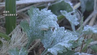 一部で初霜も　多くの地点で今シーズン一番の寒さ