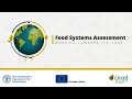 Agri-food Systems Assessments (FSA) | First step towards transforming food systems