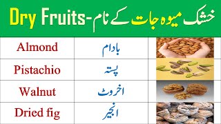 Dry fruits name in English || Dry fruits vocabulary || Beginners vocabulary  @englishacademywithss