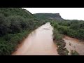 Agua contaminada de río Sonora afecta a flora y fauna