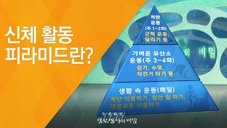 신체 활동 피라미드란? - (2011.3.5_363회 방송)_내 몸에 맞는 운동법