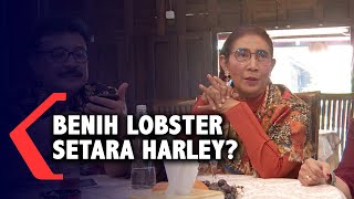 Susi Pudjiastuti Sebut Nilai Lobster Setara Harley Davidson dan Brompton