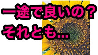 『この人を一途に想い続けていいの？それとも・・・』衝撃❢コラボ😱❣カード差し替え忖度上げ鑑定なし　#ガチンコ　#本音　#気持ち　😳【タロット占い】249回