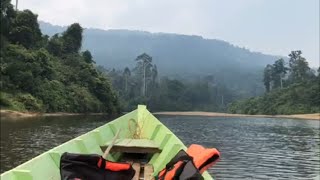 Endau Rompin national Park-250 million years old jungle in Malaysia🤣 马来云冰国家公园 世外桃源