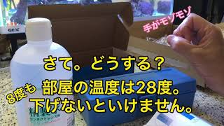 【海水魚】【比重計】　　　　　　前編：精度が高いと云われるリフレクトメーターを購入。