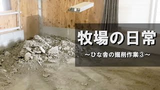 ひな舎のフン層を掘削しますPart.3【美里オーストリッチファーム】#ダチョウ