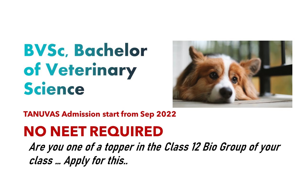 BVSc Admission : Veterinary Science & Animal Husbandry | Food ...