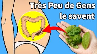 Cette Herbe Aide À Éliminer Rapidement Les Toxines Et Les Selles Qui S’accumulent Dans Le Côlon