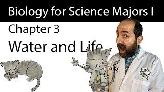 Chapter 3 - Water and Life