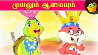 முயலும் ஆமையும் | உலக நீதி கதைகள் | குழந்தைகளுக்கான தமிழ் கதைகள்