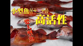 【海釣り情報】何処だぁ！伊勢湾の大型魚！！