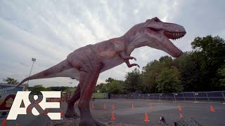 Shipping Wars: Transporting a TOWERING T-Rex Worth Over $100,000 (S9) | A&E