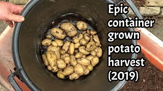 Harvesting container potatoes