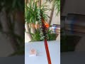 glass➡️christmas tree ？pls watch till the end 🤩🎄 catofyoutube tiktok