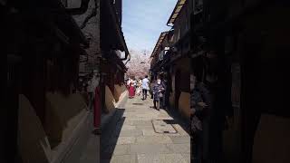 2023年4月4日京都 祇園【桜】