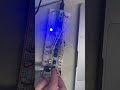 Digital Electronics Lab 5 - Step Sequencer Teensy