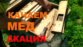 Як качаємо мед з акації. Відкачування акаційового меду. Відбір рамок