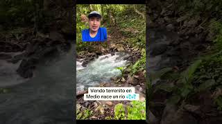 Tu venderías tu finca si tiene un nacimiento de un río?💥💥💥💥💥